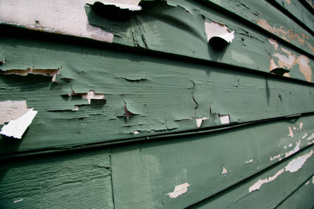 Affordable siding repair and maintenance services in Pulaski, WI