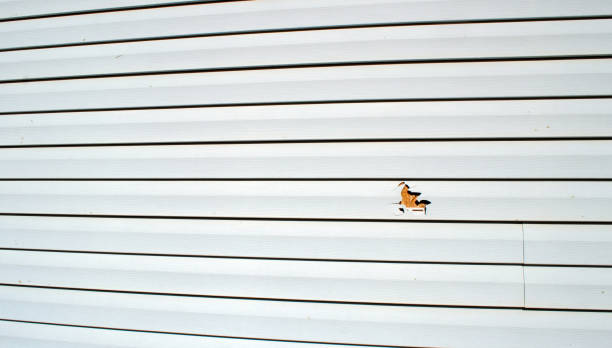 Best Residential Vinyl Siding Installation  in Pulaski, WI