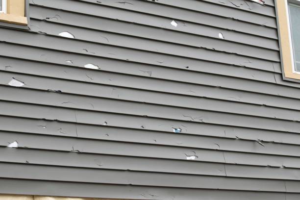 Best Brick Veneer Siding  in Pulaski, WI
