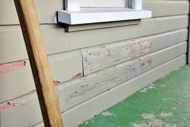  Pulaski, WI Siding Installation Pros